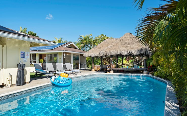 plants to plant around your pool